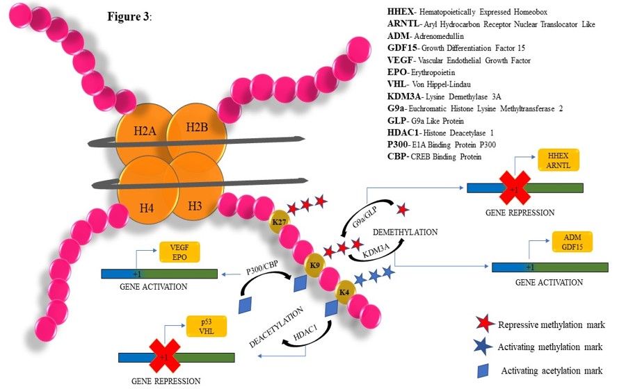 Epigenetic modifications control alternative pre-mRNA splicing to drive tumorigenesis