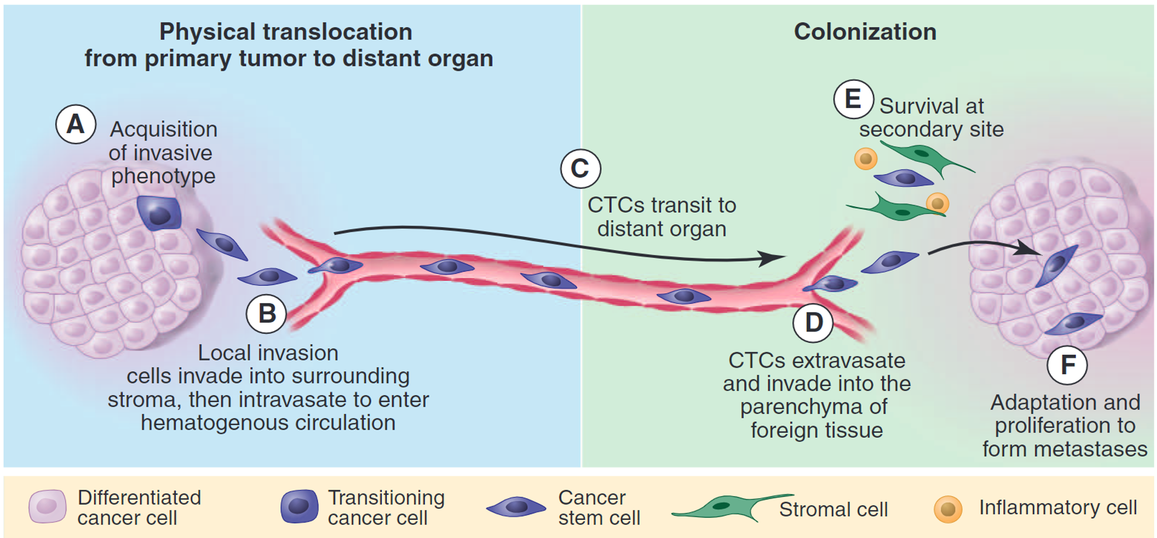 Illustration of epigenetics and RNA processing